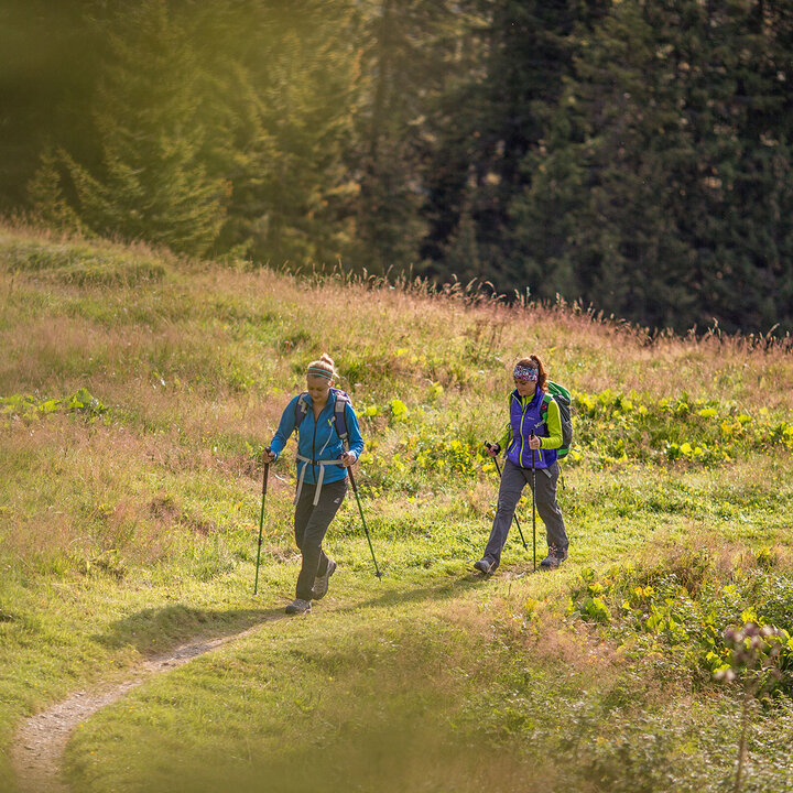 The healthy walking concept.