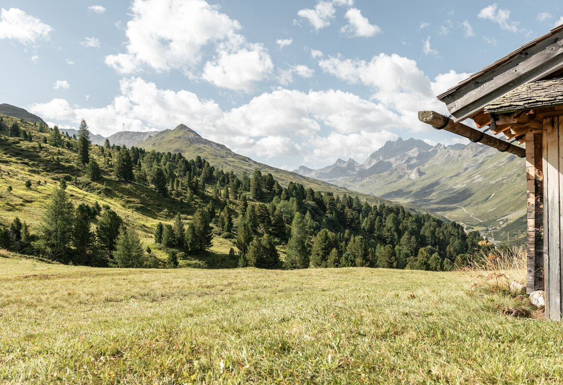 Sommer Early Birds Bild 1